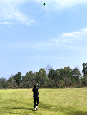 风筝3.jpg